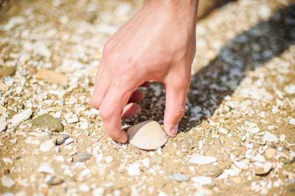 O homem encontrou as conchas na costa do mar — Fotografia de Stock