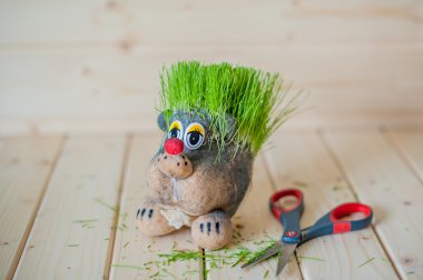 Saç kesme, çim iğnelerden ile kirpi