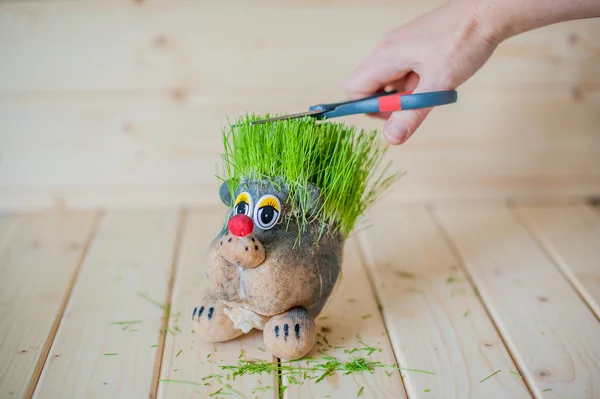 Corte de cabelo, ouriço com agulhas de grama — Fotografia de Stock