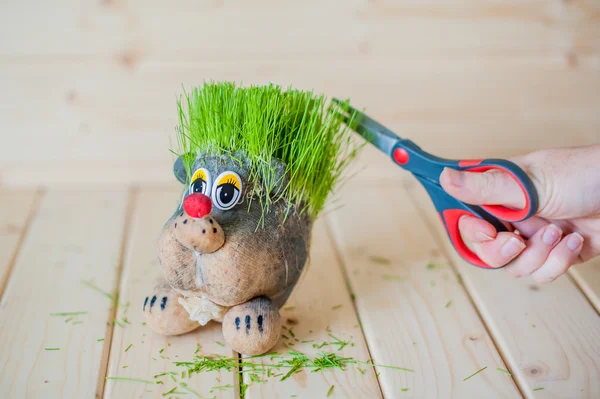 Corte de cabelo, ouriço com agulhas de grama — Fotografia de Stock