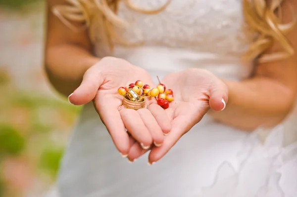 Anneaux de mariage sur frêne de montagne — Photo