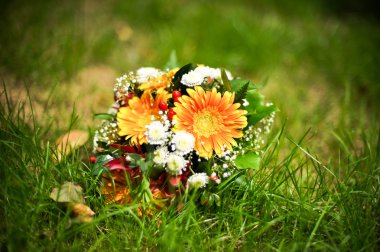 Yeşil çimenlerin üzerinde turuncu gerbera buketi