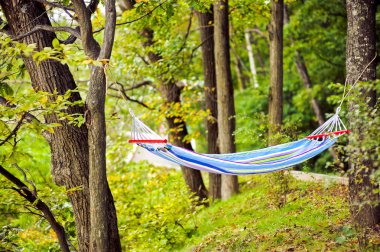 Ormanın içinde asılı hamak