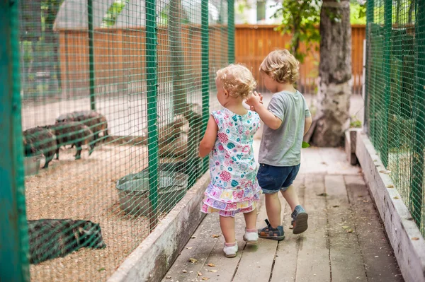 Niño y niña en el zoológico — Foto de Stock