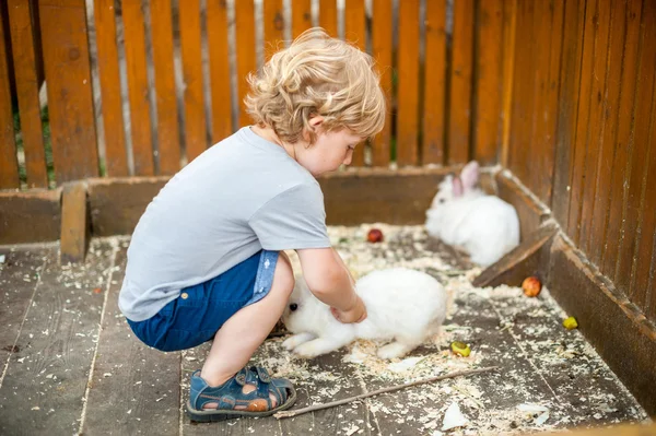 蹒跚学步的男孩玩兔 — 图库照片