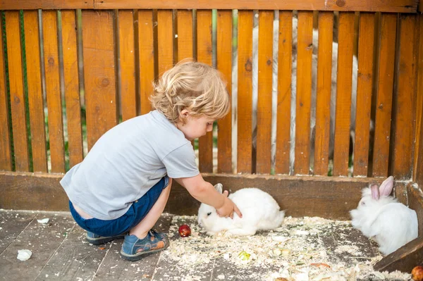 Tout-petit garçon jouer avec des lapins — Photo