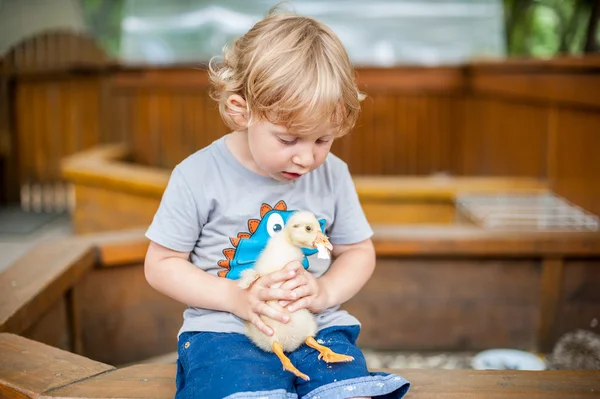 Малыш Тоддлер играет с утятами — стоковое фото