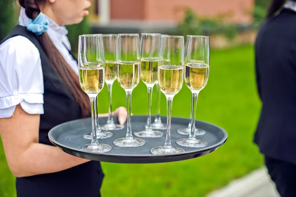 Профессиональная официантка подает шампанское — стоковое фото