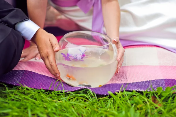 Bride and groom holding aquarium with goldfish — Stock Photo, Image