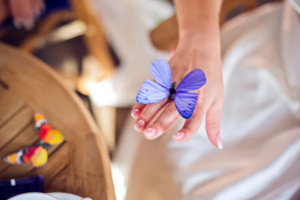 Ręki panny młodej z fioletowy motyl — Zdjęcie stockowe