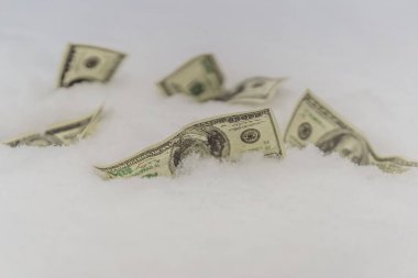 Bir noktada dondurulmuş dolar konsepti, 100 dolar donduruldu.