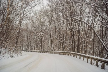 Karlı tarlalar ve ormanlar arasında kış yolu