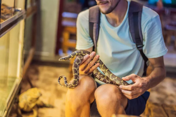Een man met een kleine python in zijn handen — Stockfoto