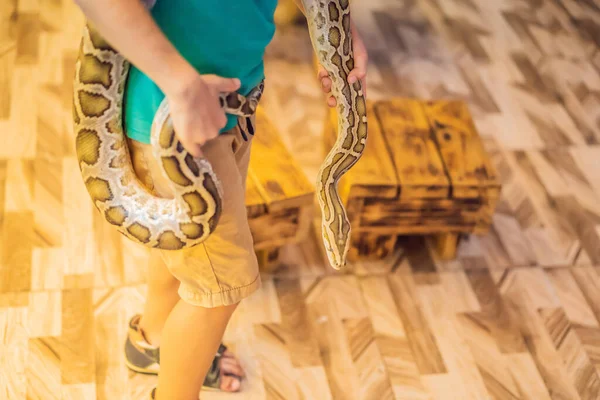 Smiling boy holding python in his hands — Stock Photo, Image