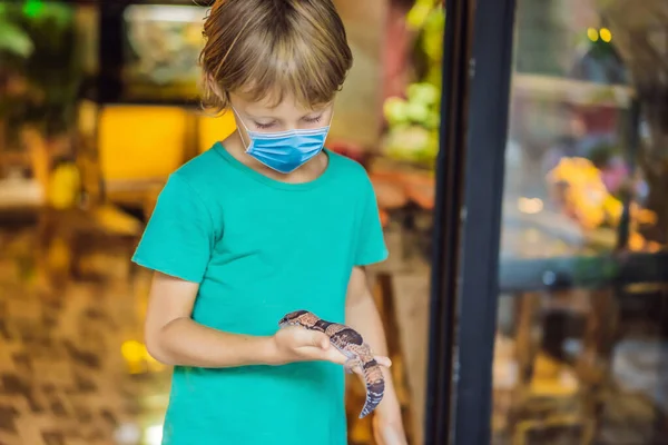 코로나 바이러스 (COVID-19 coronavirus) 에서 의료용 마스크를 착용 한 소년의 손에 쥐고 있는 도마뱀붙이 — 스톡 사진