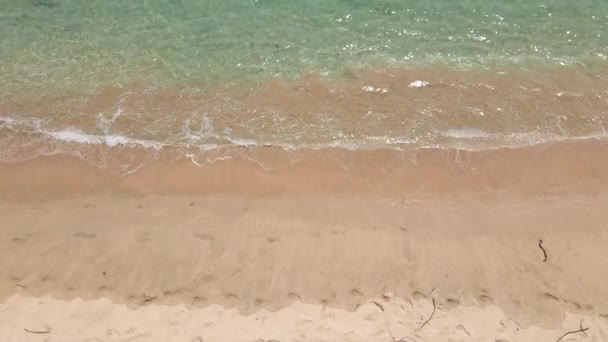 Güzel bir sahilde koşan genç bir adamın yavaş çekim görüntüsü. Sağlıklı yaşam tarzı ve spor anlayışı — Stok video