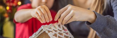 Genç anne ve çocuk Noel arifesinde zencefilli kurabiye yapıyorlar.