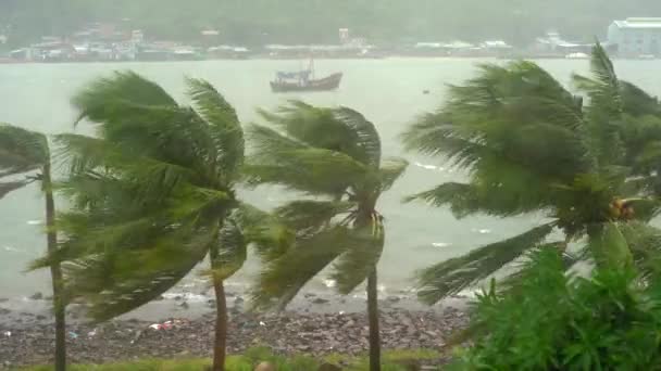Naves en un puerto bajo una fuerte lluvia y viento de tormenta. Concepto de tormenta tropical. Contiene sonido natural — Vídeo de stock