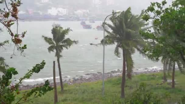 Navios em um porto sob forte chuva e vento de tempestade. Conceito de tempestade tropical. Contém som natural — Vídeo de Stock