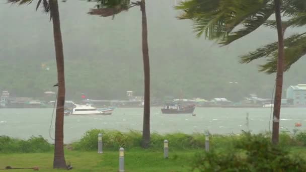 Ships in a harbor under a heavy rain and storm wind. Tropical storm concept. Contains natural sound — Stock Video