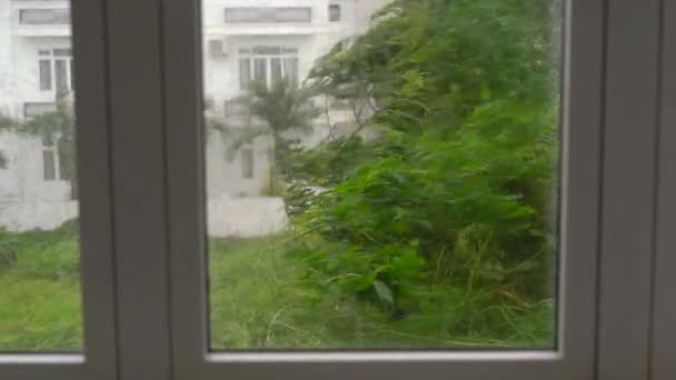 Een boom onder zware regen en zeer sterke wind. Door een regendoordrenkt raam geschoten. Tropisch stormconcept. Bevat natuurlijk geluid — Stockvideo
