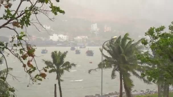 大雨と嵐の風の下で港に船。熱帯性暴風雨の概念。自然の音が入っている — ストック動画
