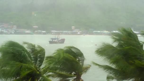 Fartyg i en hamn under kraftigt regn och stormvind. Tropiskt stormkoncept. Innehåller naturligt ljud — Stockvideo