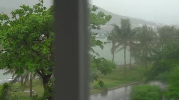 Bomen en palmbomen onder zware regen en zeer sterke wind. Persoon opent het raam om naar buiten te kijken — Stockvideo