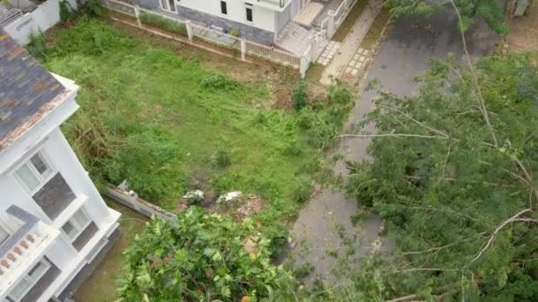 Luftaufnahme einer Gruppe entwurzelter Bäume in einem Wohngebiet nach einem tropischen Sturm. Klimaschutzkonzept — Stockvideo