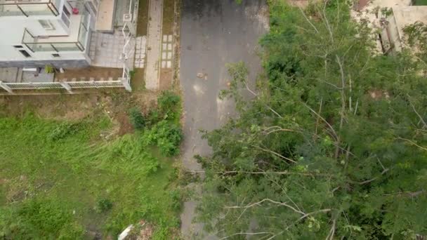 Foto aérea de un grupo de árboles desarraigados en una zona residencial después de una tormenta tropical. Concepto de cambio climático — Vídeo de stock