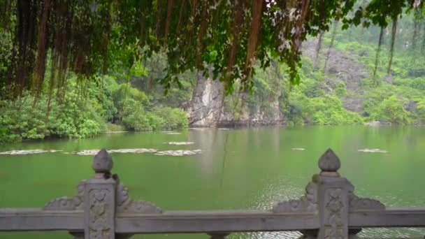 Uitzicht op een rivier die stroomt tussen kalkstenen muntains in Ninh Binh, een toeristische bestemming in het noorden van Vietnam. Reis naar Vietnam concept — Stockvideo