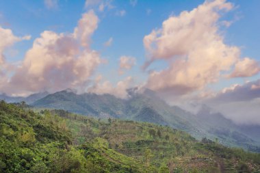 Deniz ve güneş, Hai Van Pass, Danang, Vietnam