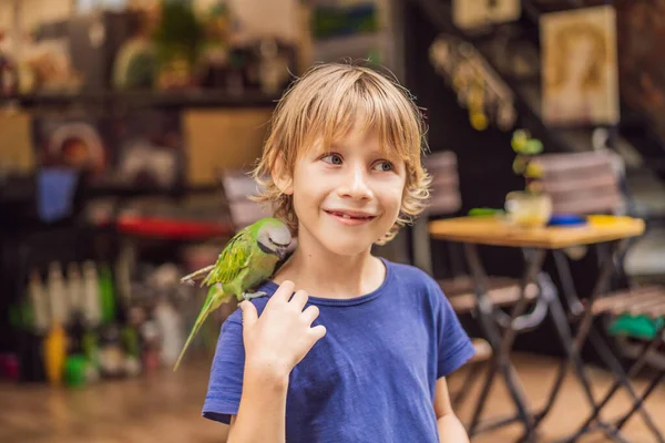 Kid playing with his pet green parrot — Stock Photo, Image