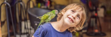 Çocuk, evcil yeşil papağanı BANNER 'la oynuyor.