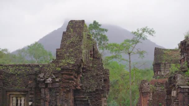 Ręczne ujęcie ruin w Sanktuarium Mojego Syna, pozostałości starożytnej cywilizacji Cham w Wietnamie. Miejscowość turystyczna w mieście Danang. Podróż do Wietnamu — Wideo stockowe
