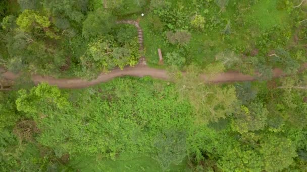 Top down Luchtfoto van ruïnes in het My Son Sanctuary, overblijfselen van een oude Cham beschaving in Vietnam. Toeristische bestemming in de stad Danang. Reis naar Vietnam concept — Stockvideo