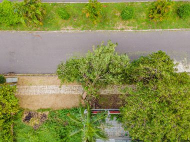Şiddetli bir fırtınadan sonra ağaçlar hasar gördü ve söküldü. Bir yerleşim köyünde ağaçlar devrildi