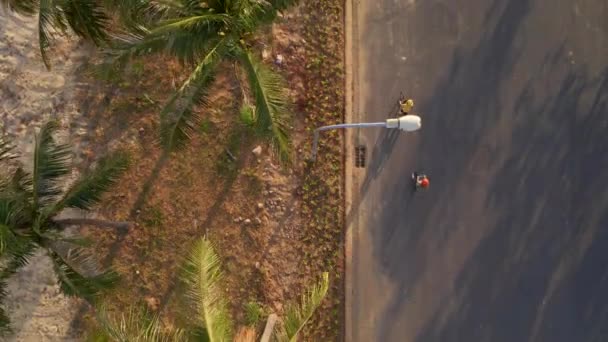 Zeitlupenaufnahme aus der Luft. Frau und Sohn fahren Tretroller und Fahrrad am Meer unter Palmen bei Sonnenuntergang — Stockvideo