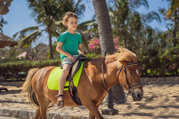 Smiling, young boy ride a pony horse. Horseback riding in a tropical garden — Stock Photo, Image