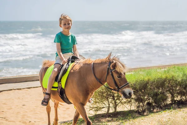 Smiling, young boy ride a pony horse. Horseback riding in a tropical garden — Stock Photo, Image
