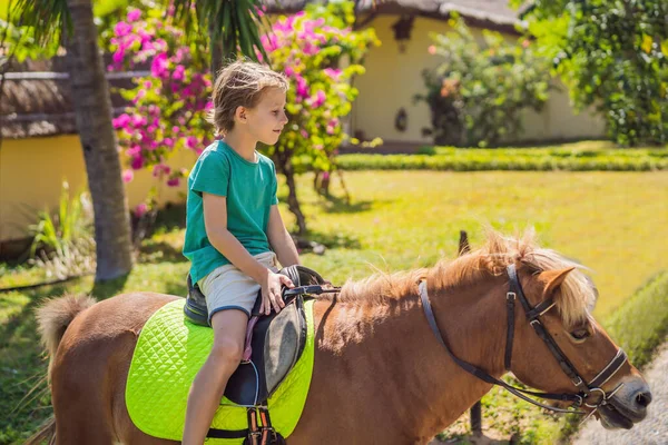 Smiling, young boy ride a pony horse. Horseback riding in a tropical garden — Stock Photo, Image
