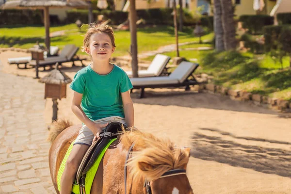 Smiling, young boy ride a pony horse. Horseback riding in a tropical garden — Stock Photo, Image