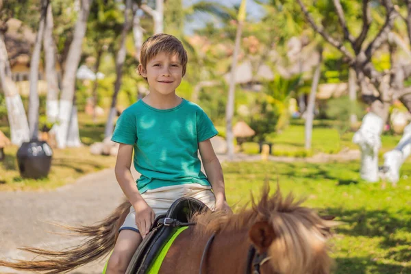 Smiling, young boy ride a pony horse. Horseback riding in a tropical garden — Stock Photo, Image