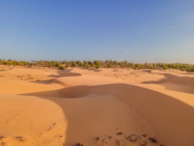 Çöl - Küresel Isınma. Çölün büyük kumulları. Fotoğrafçılar ve gezginler için güzel bir yer. Kumlu haykırışların güzel yapıları