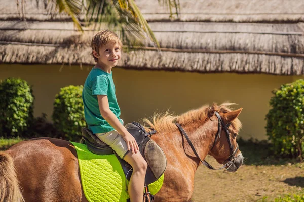 Smiling, young boy ride a pony horse. Horseback riding in a tropical garden — Stock Photo, Image