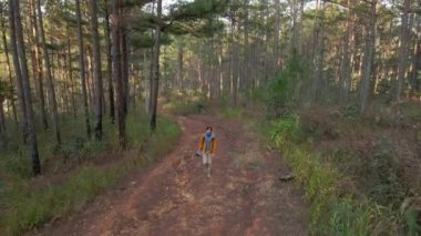 Bir adam turist çam ağaçlarının arasında yürüyor ve İHA 'yla kendini videoya çekiyor..