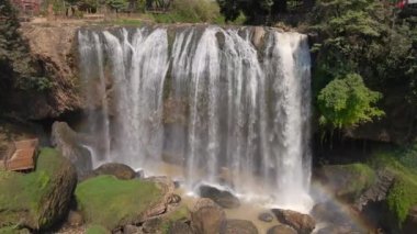 Fil 'in hava görüntüsü.