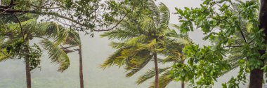 Tropical storm, heavy rain and high winds in tropical climates BANNER, LONG FORMAT clipart