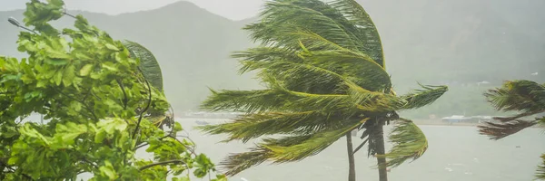 Tropisk storm, kraftigt regn och hårda vindar i tropiska klimat BANNER, LONG FORMAT — Stockfoto