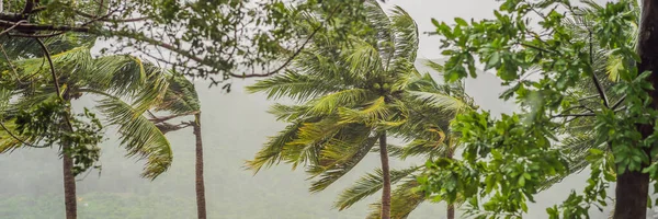 Tormenta tropical, fuertes lluvias y fuertes vientos en climas tropicales BANNER, FORMATO LARGO — Foto de Stock